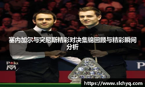 塞内加尔与突尼斯精彩对决集锦回顾与精彩瞬间分析