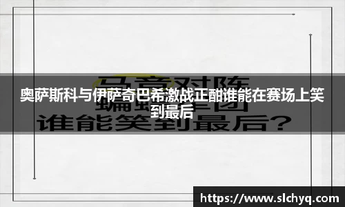 yy体育